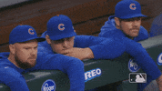 major league baseball sport GIF by MLB
