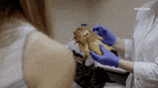 GIF by VICE DOES AMERICA