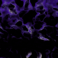 Art Loop GIF by tracheotommy