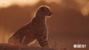 Turning Away Season 2 GIF by PBS