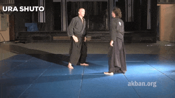 martial arts mma GIF by AKBAN Academy