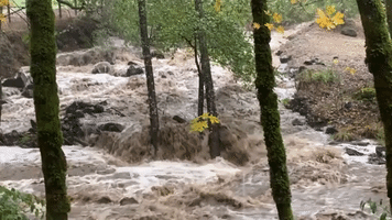 Mammoth West Coast Storm Dumps Over Half-Foot of Rain in California Wine Country