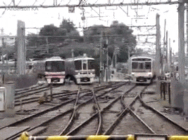 disaster brink GIF