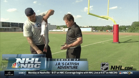 ice hockey GIF by NHL