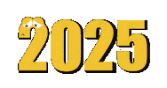New Year Ano Novo Sticker