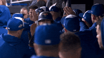 Blue Jays Baseball GIF by Toronto Blue Jays