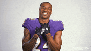 Football Nfl GIF by Baltimore Ravens