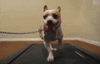 Never Ending Running GIF