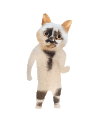 Muddycat Sticker