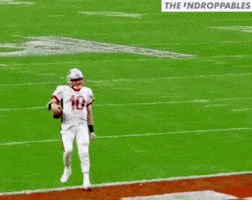 Dance Nfl GIF by The Undroppables