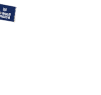 Irish Rugby Sticker by Bank of Ireland
