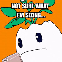 Excuse Me Wtf GIF by Magic Eden