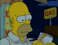 Season 1 GIF by The Simpsons