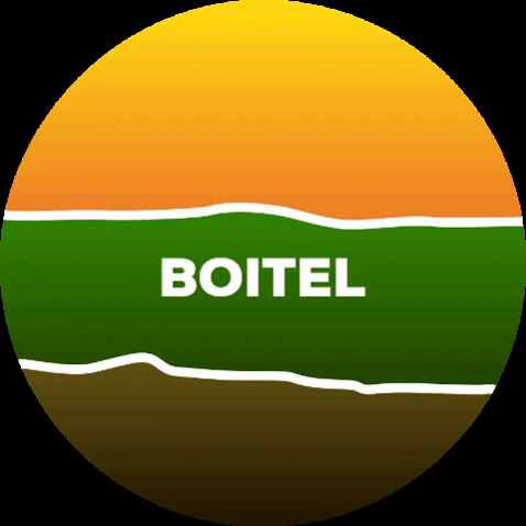 vflbrasil giphygifmaker vfl boitel vflbrasil GIF