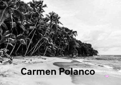 carmenpolanco1 giphygifmaker giphyattribution GIF