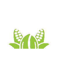 ilcorn corn farming illinois ilcorn Sticker