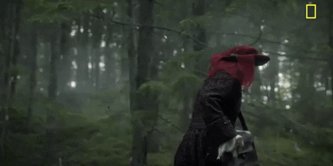 Episode 1 GIF by National Geographic Channel