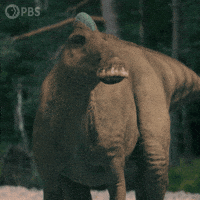 Go Away No GIF by PBS