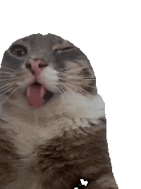 Rigby Cat Sticker