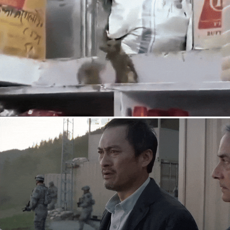 Let Them Fight Fighting GIF