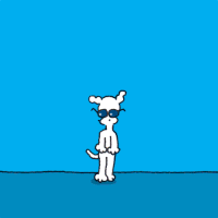 chippythedog chippythedog GIF