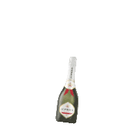 houseofjcleroux cheers champagne optimism cracker Sticker