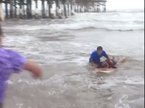 the mystery files of shelby woo nicksplat GIF