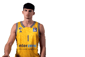 Easycredit Bbl Sticker by ALBA BERLIN