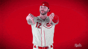 Tyler Naquin GIF by Cincinnati Reds