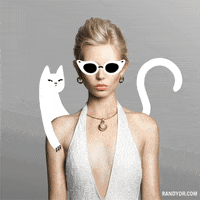 white cat fashion GIF by randydrosario
