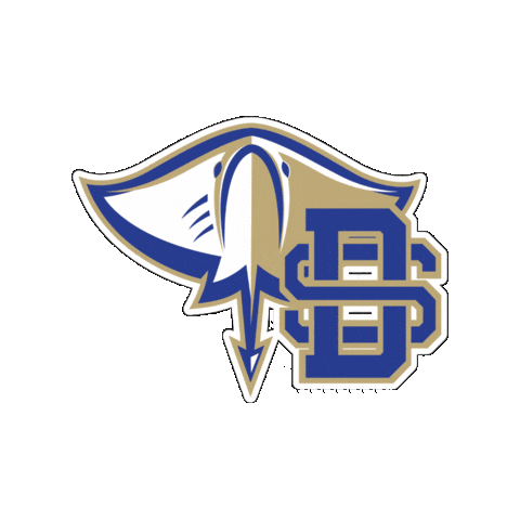 Lets Go Rays Sticker by Divine Savior Academy