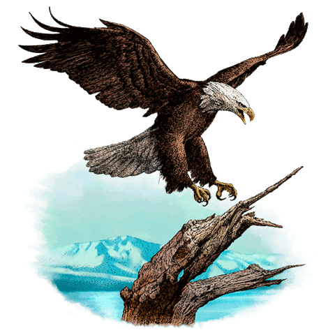 red dead redemption eagle Sticker by Rockstar Games