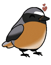Bird Vogel Sticker