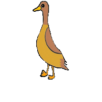 Duck Sticker