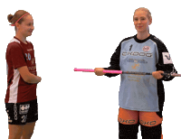 Floorball Salibandy Sticker by F-liiga