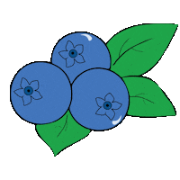 Blueberries Sticker by mazistebuklai