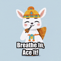Breathe In Study GIF by Llamaozi