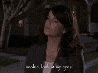 season 6 netflix GIF by Gilmore Girls 