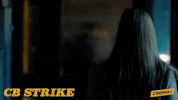 the cuckoo's calling cb strike GIF by Cinemax