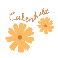 Skincare Calendula Sticker by axisy_official