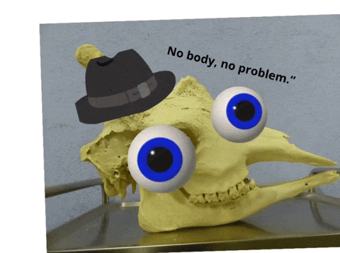 Gifitup2025 GIF by GIF IT UP