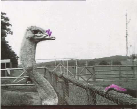 sarahfrost321 giphygifmaker james 1sec cmgifworkshop GIF