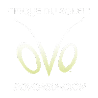 paraguay Sticker by cirquedusoleilpy