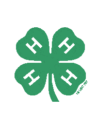 tx4h heart green texas youth Sticker