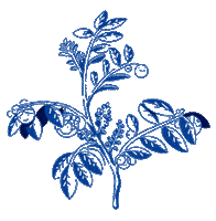 Flower Grow Sticker