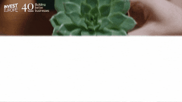 Grow Venture Capital GIF by Invest Europe