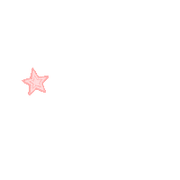 RentBoutique pink stars rating 5 stars Sticker