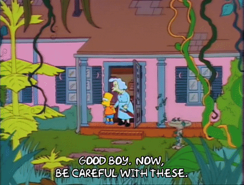 Season 2 Episode 21 GIF by The Simpsons