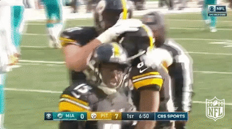 Pittsburgh Steelers Football GIF by NFL