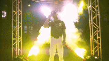 college baseball fsu GIF by NCAA Championships